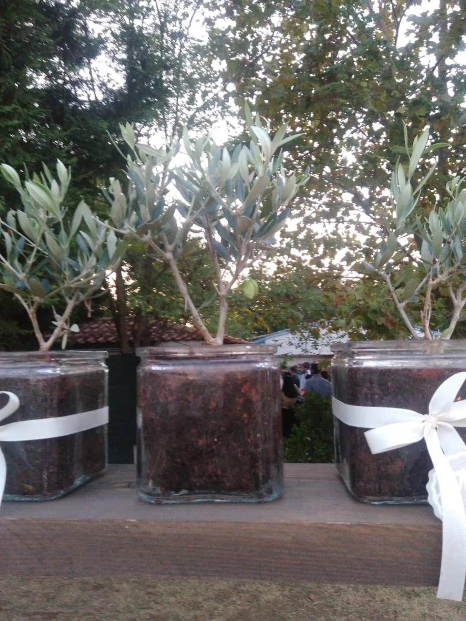 Country Villa Athéras מראה חיצוני תמונה